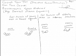 Examples of Cell Divisions of Young and Old persons