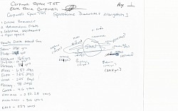 Carpinelli Space TST Spacetime Dimensional navigation theoretical hyperspace model. All planets orbit the sun in an elliptical circular course.It takes  Saturn(29.4 years) for 1 trip around the sun. It takes Pluto(248 years) 1 trip around the sun. It takes Neptune(165 years) 1 trip around the sun. It takes Jupiter(12 years) 1 trip around the sun. It takes Uranus(84 years) 1 trip around the sun. It takes Mars(687 days) for 1 trip around the sun. It takes Earth(365 days) 1 trip around the sun. It takes Venus(225 days) 1 trip around the sun. It takes Mercury(88 days) 1 trip around the sun. It takes Ceres(4.6 years) 1 trip around the sun.  It takes Haumea(283.28 years) 1 trip around the sun. It takes Makemake(306 years) 1 trip around the sun.  It takes Eris(557 years) 1 trip around the sun. All planets go around the sun in ellptical orbits counter clockwise EXCEPT FOR VENUS AND URANUS which goes around the sun CLOCKWISE in elliptical orbits. Pluto goes counterclockwise but rotates retrograde almost 6 months, the opposite rotation of the sun. Eris also orbits in retrograde for 6 months. Venus rotates in retrograde opposite of most of the planets. Uranus has a retrograde rotation. These orbits around the sun organizes spacetime in a chronological order of dimensions by using each planets body to sustain the past time dimensions while orbiting the sun using the sun and all planets gravity resistances.(The push and pull forces of the sun and each planets gravities) This separates the PAST from PRESENT to FUTURES, which all 3 PAST, PRESENT AND FUTURES USE THE SAME SUN.