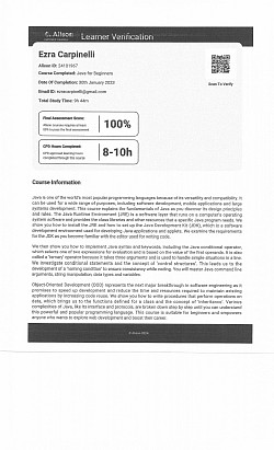 JAVA PROGRAMMING CREDENTIAL ID 3122-24101967